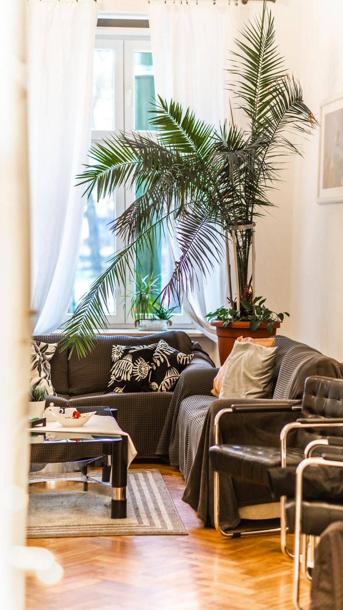 Fogra Travel Apartment Cracovia Exterior foto
